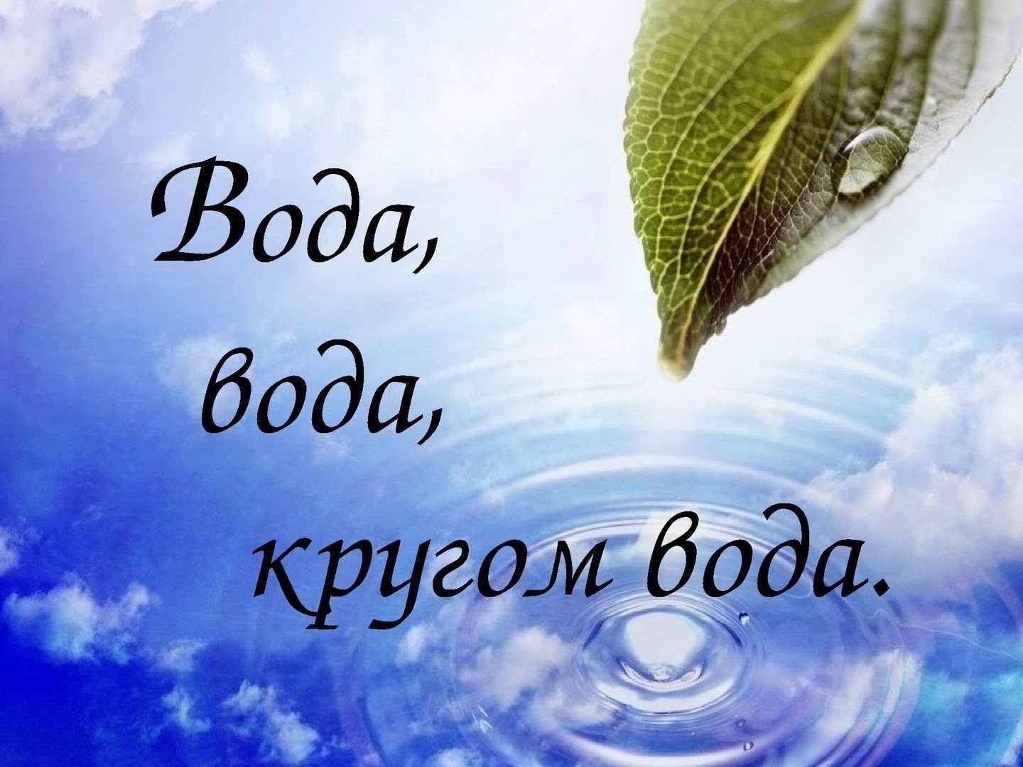 Точка роста: Выставка.