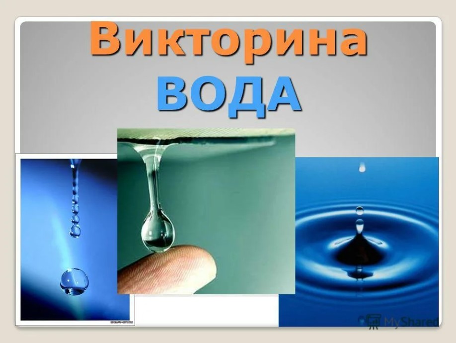 Точка роста: Викторина.